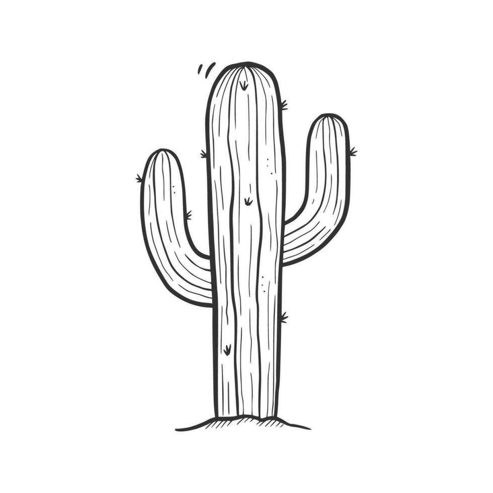 Hand drawn desert cactus element vector