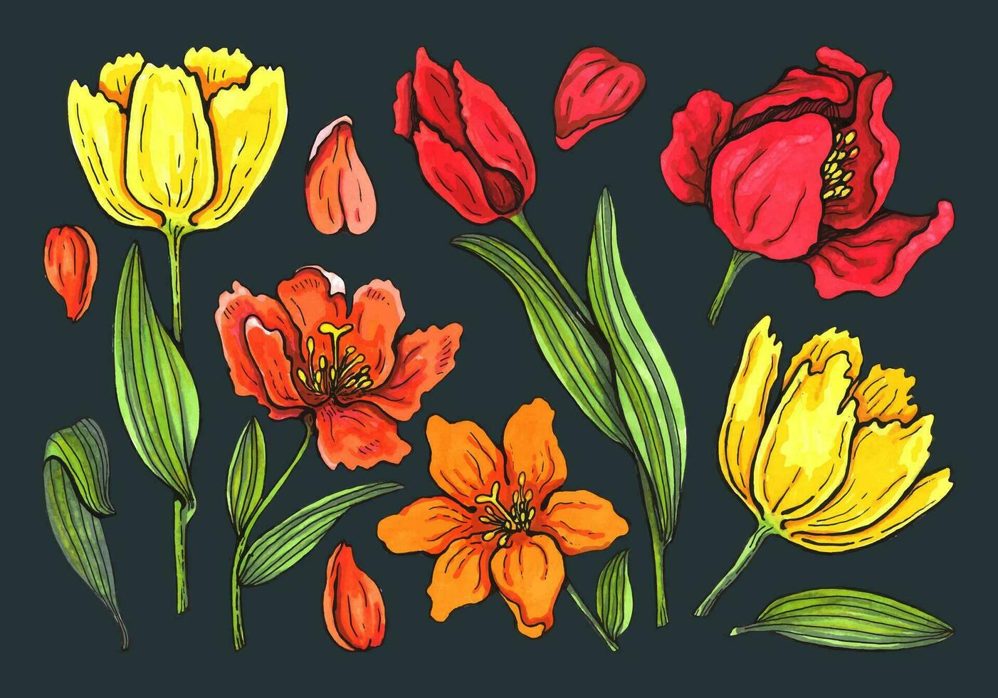 primavera flores y hojas de tulipanes pintado por acuarela. conjunto para ninguna diseño vector