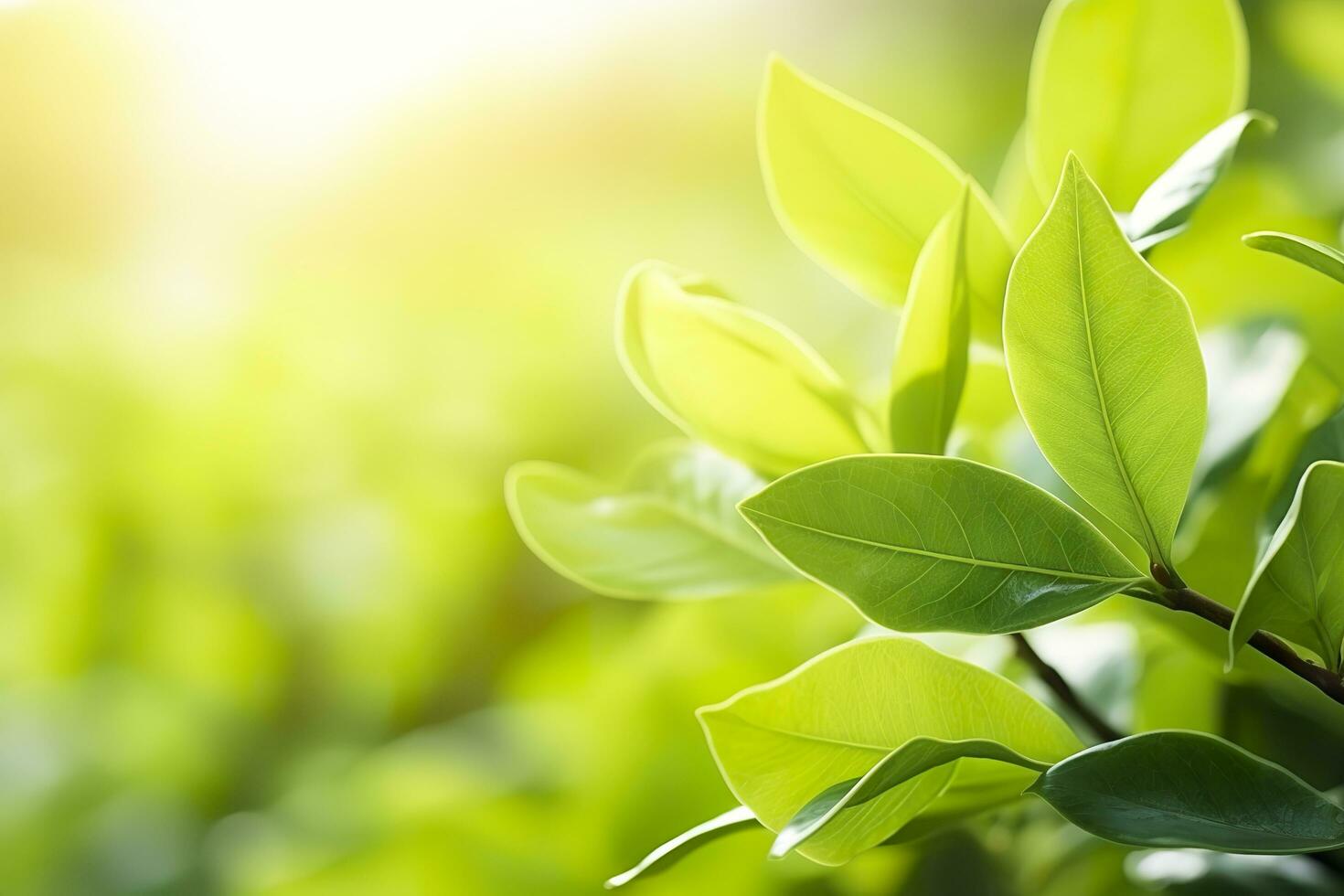 Nature of green leaf in a garden in summer under sunlight. Spring background. AI Generated photo