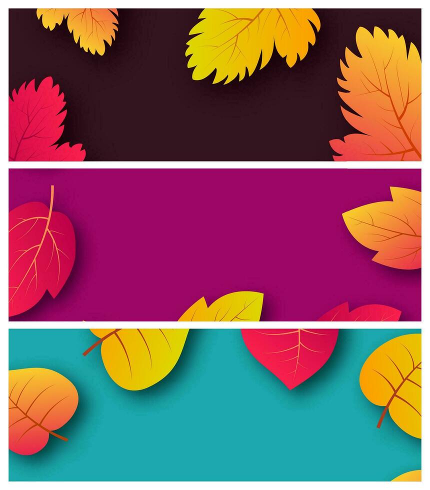 conjunto de Tres antecedentes con otoño hojas y sitio para tu texto. bandera diseño para otoño temporada bandera o póster. vector ilustración