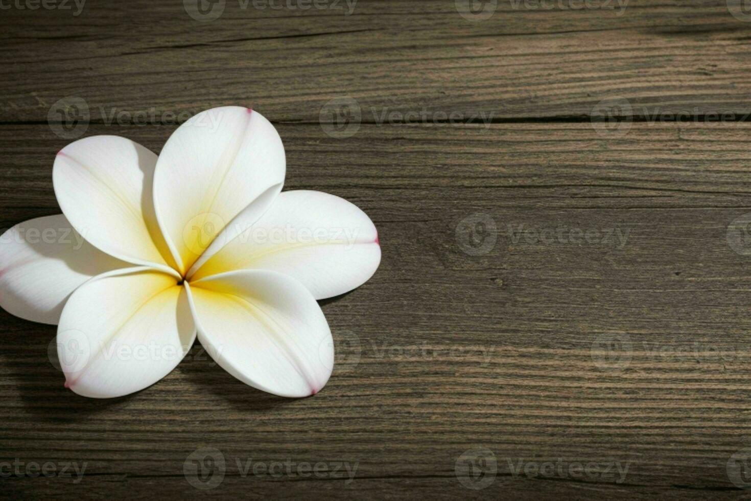 Orchid flower. background. AI Generative Pro Photo