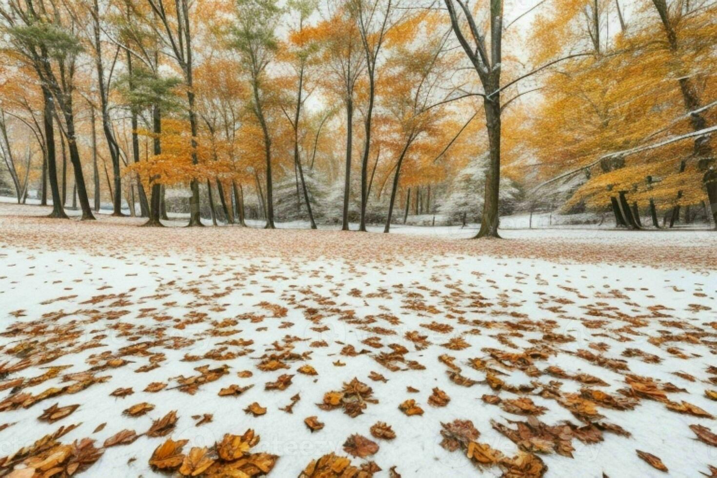 fallen leaves in snowy forest park. background. AI Generative Pro Photo