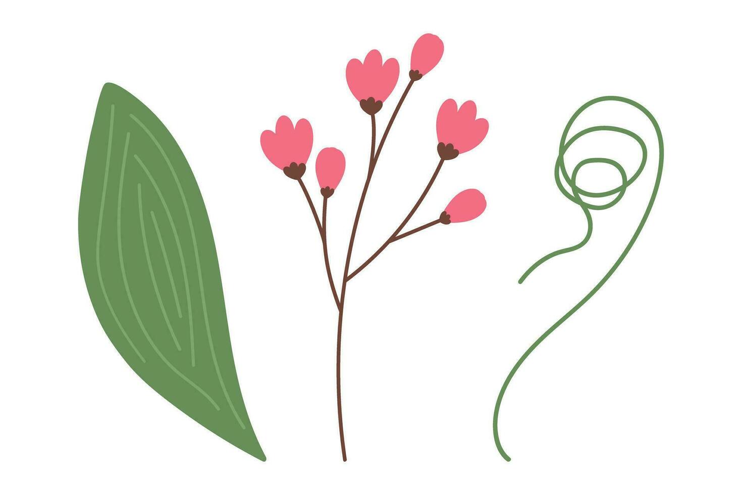 Set of 3 botanical design elements with spathiphyllum leaf, blossom and curled twigs. Springtime vector