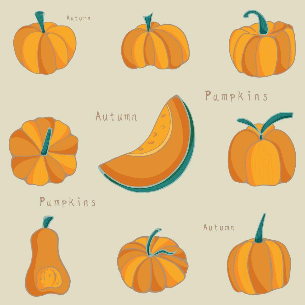 Pumpkin squash for Halloween or Thanksgiving is a flat icon for apps and websites. A set of colored pumpkins for printing on notebooks, covers, textiles, clothes. vector