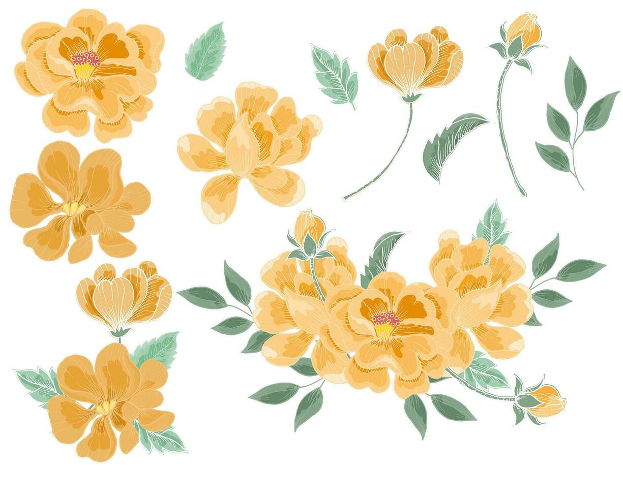 Hand Drawn Orange Flower Illustration vector