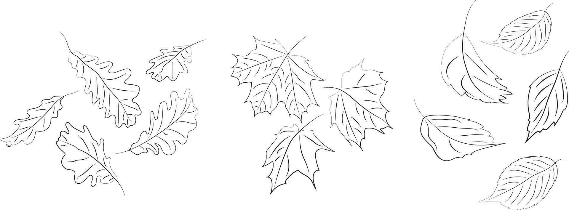 Line art. Autumn leaves. High quality vector illustration.