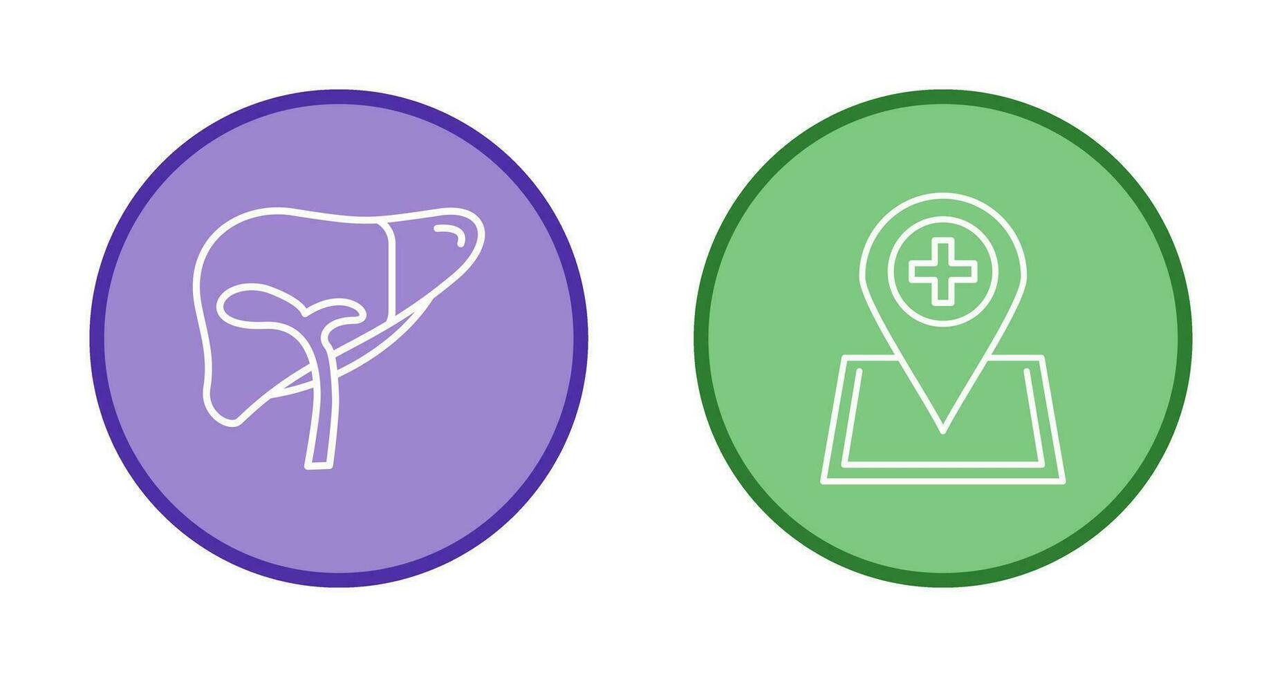 Liver and Location Icon vector