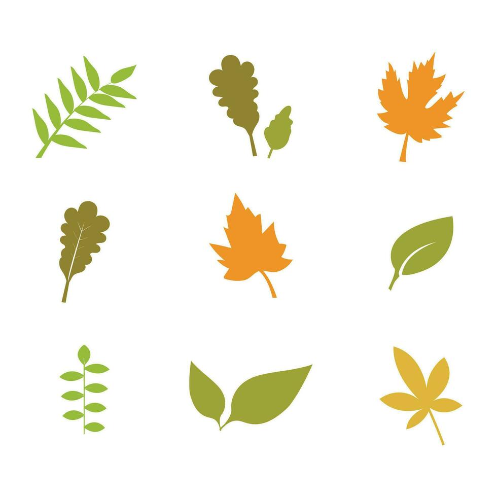 Colorful Autumn leaf vector isolated on white background. Leaf icon vector illustration.