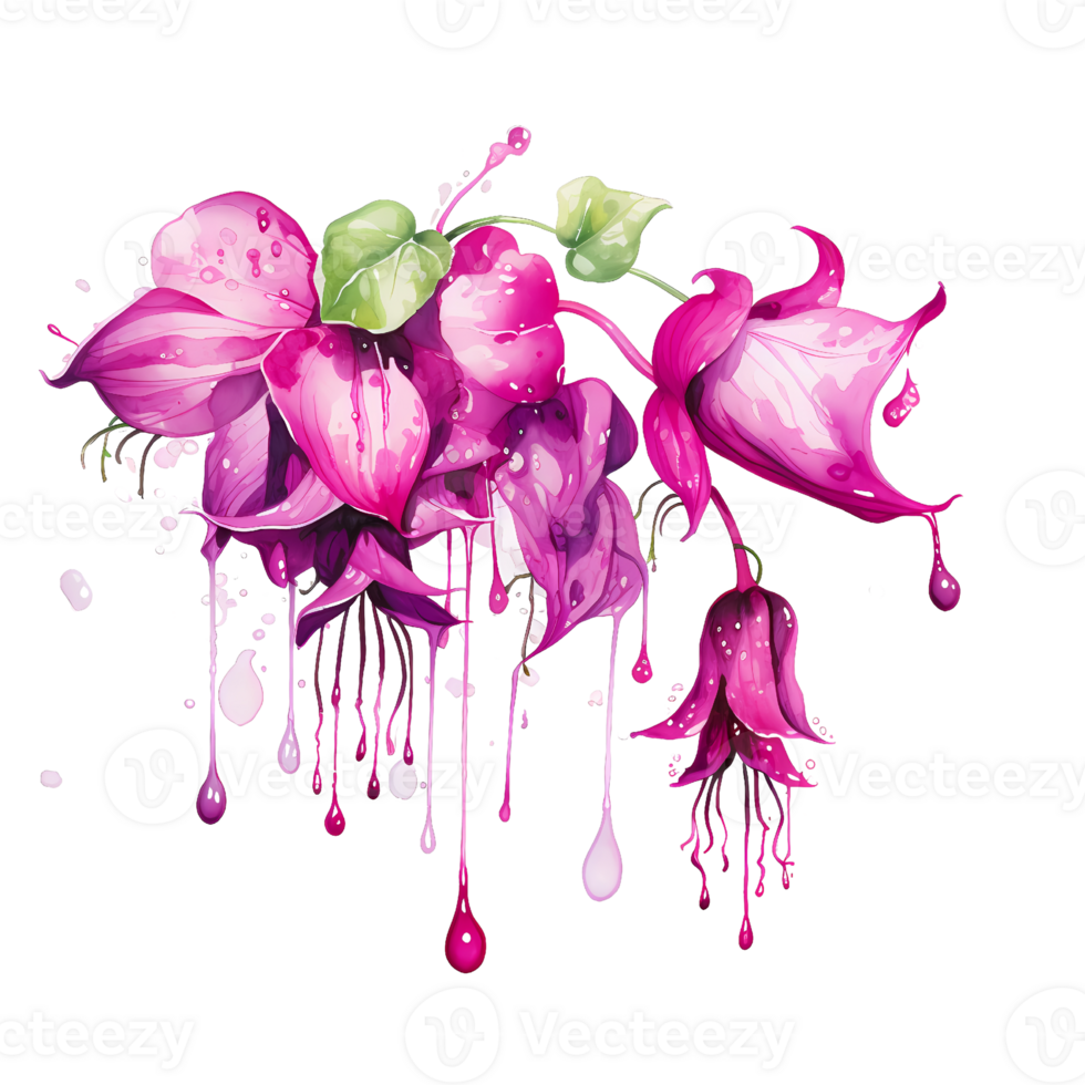 Ai generated watercolor painting of fuchsia flowers on a transparent background png