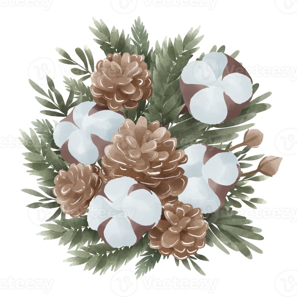 Watercolor Christmas Cotton pine cone holly Bouquet hand drawn illustration png