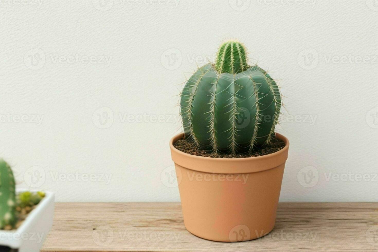 Cactus in minimalist pot. background. AI Generative Pro Photo