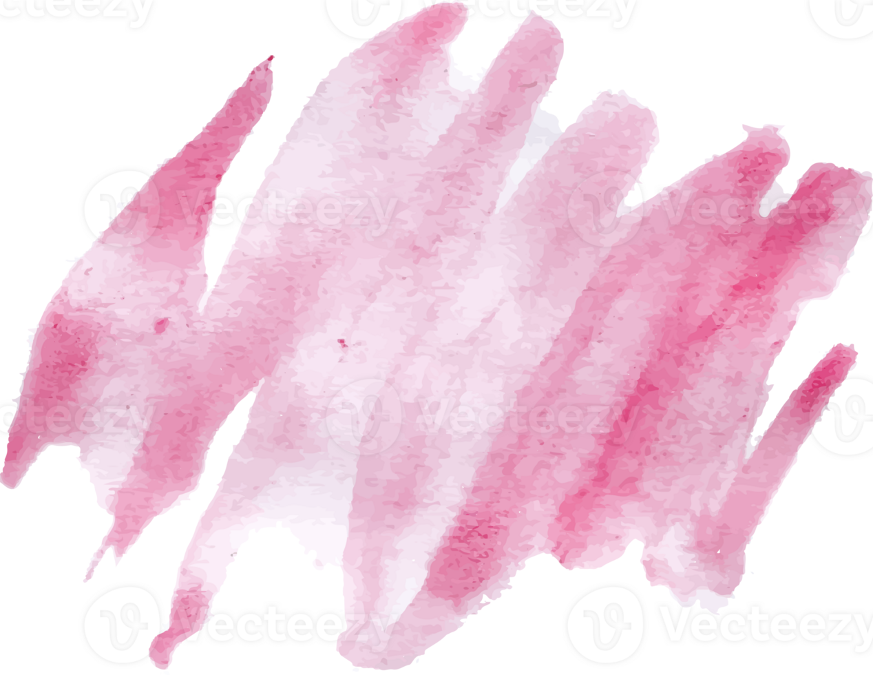 watercolor pink rose element png