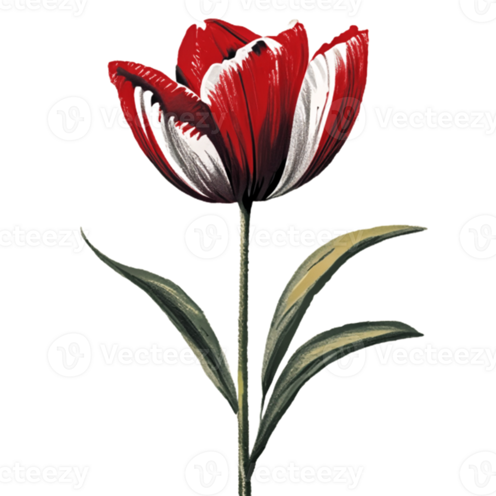 Tulip Red Flower AI Generative png