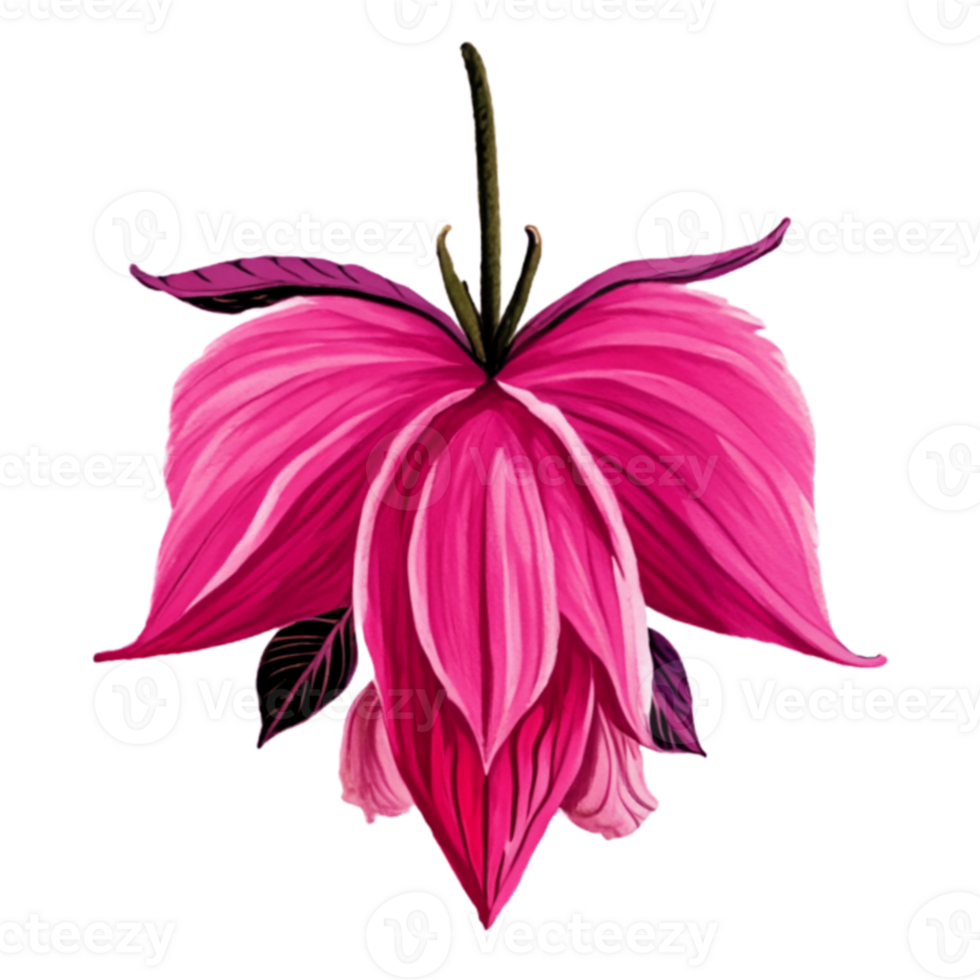 Fuchsia Flower Nature AI Generative png