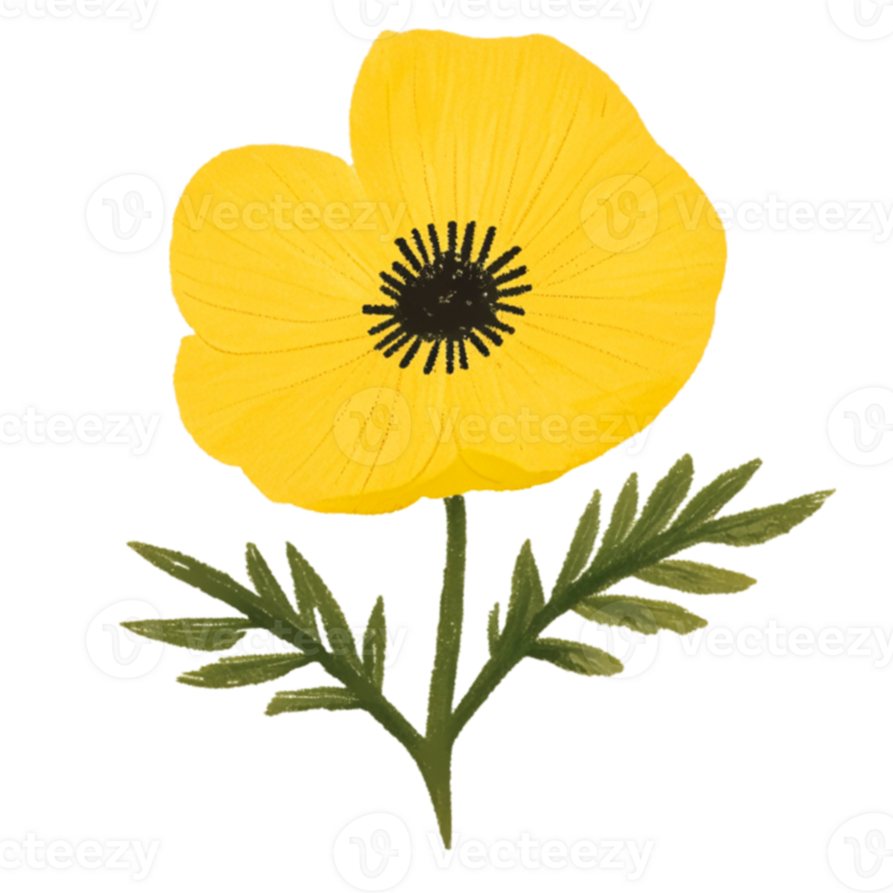 Buttercup  Flower Beautiful AI Generative png