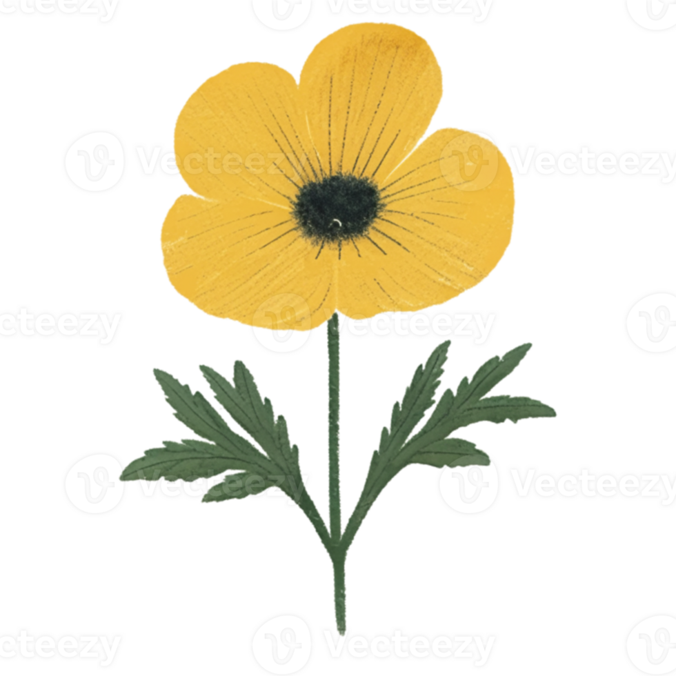 Buttercup  Flower Beautiful AI Generative png