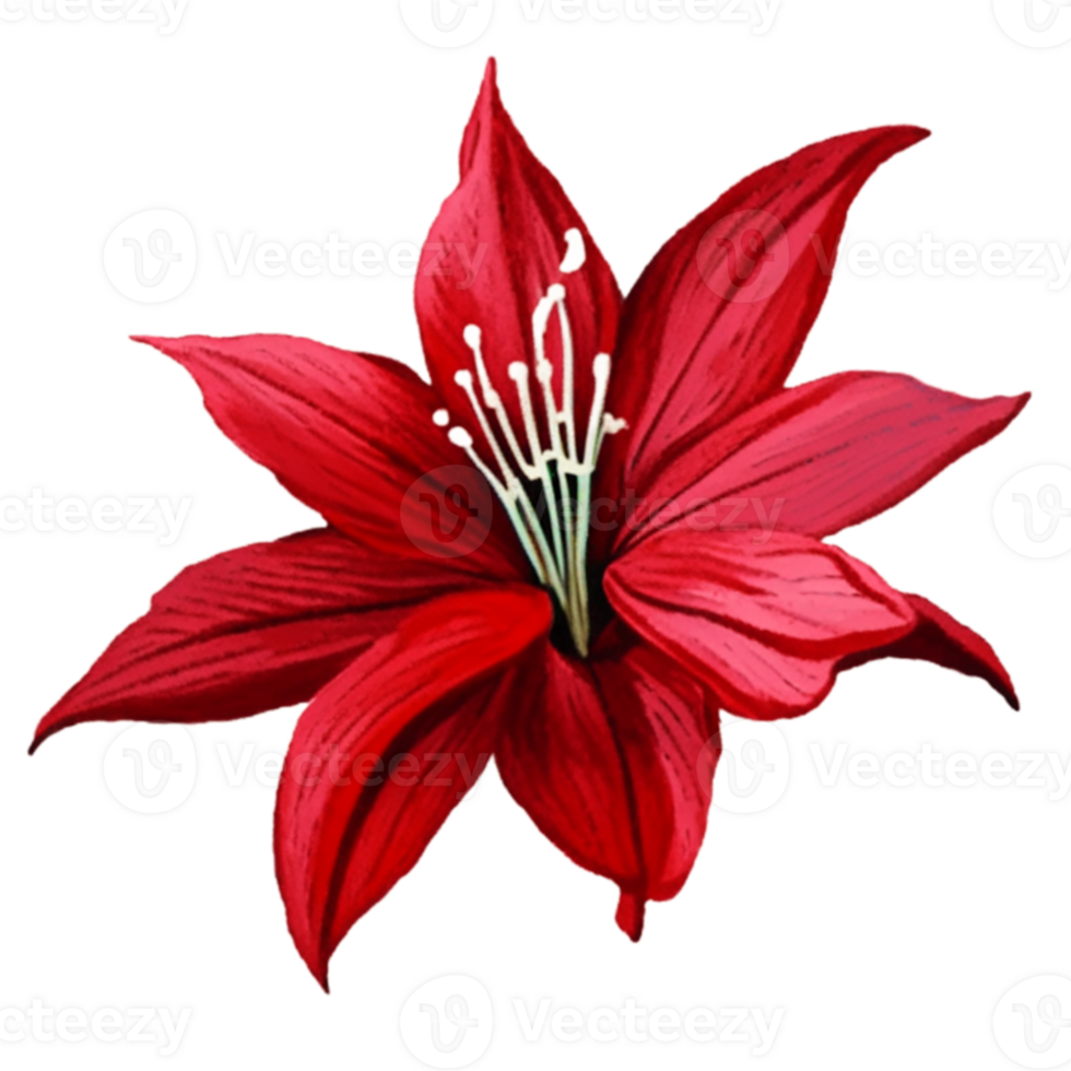 Lily Red Flower AI Generative png