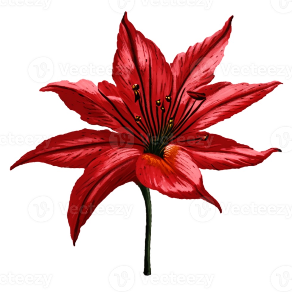 Lily Red Flower AI Generative png