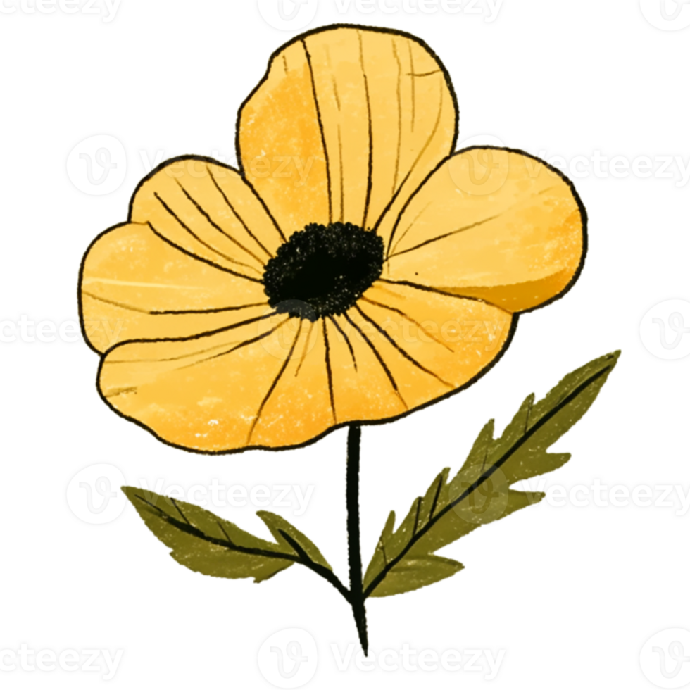 Buttercup  Flower Beautiful AI Generative png