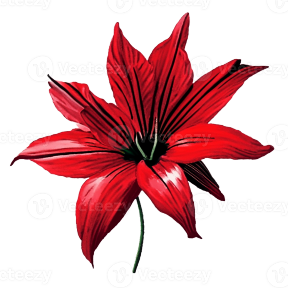 Lily Red Flower AI Generative png