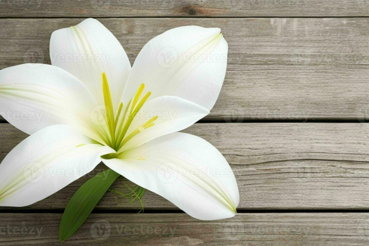 lily flower. background. AI Generative Pro Photo