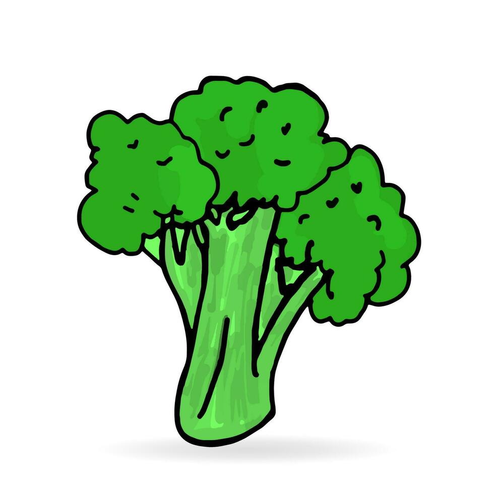Realistic illustration of fresh broccoli vector icon for web design.