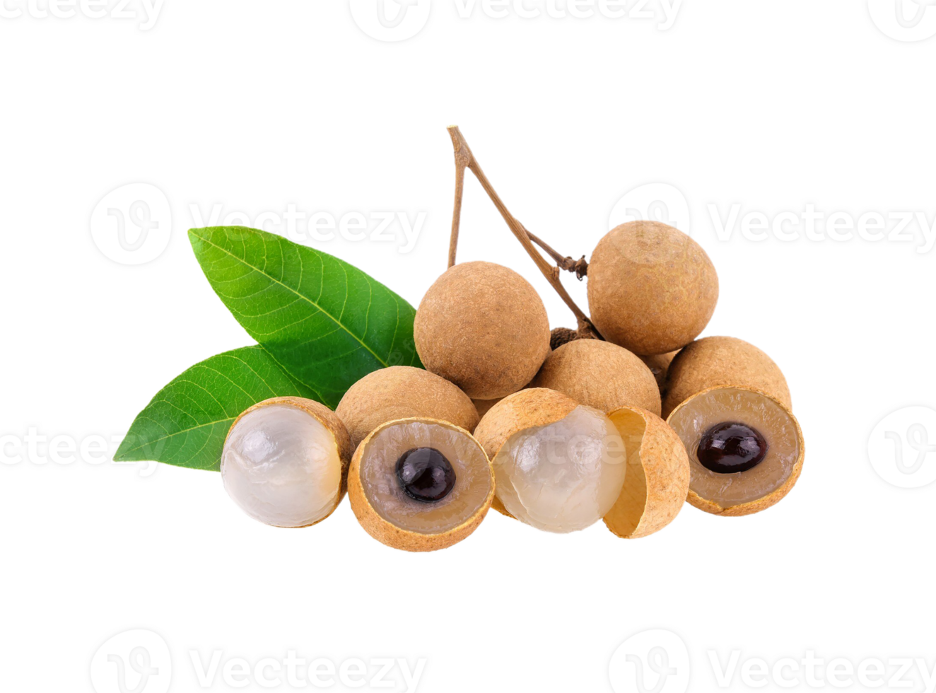 Leaves Longan Fresh Longan on a transparent background png