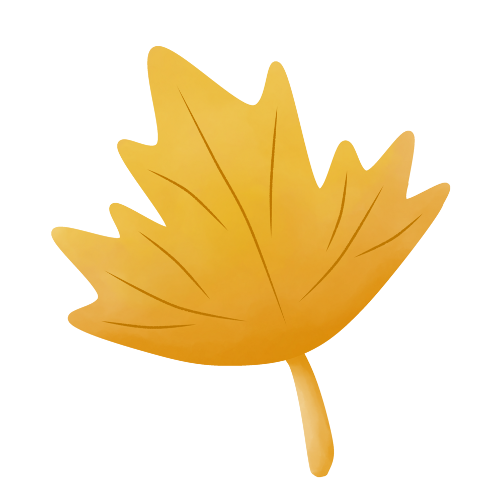 Watercolor painting of autumn leaves png