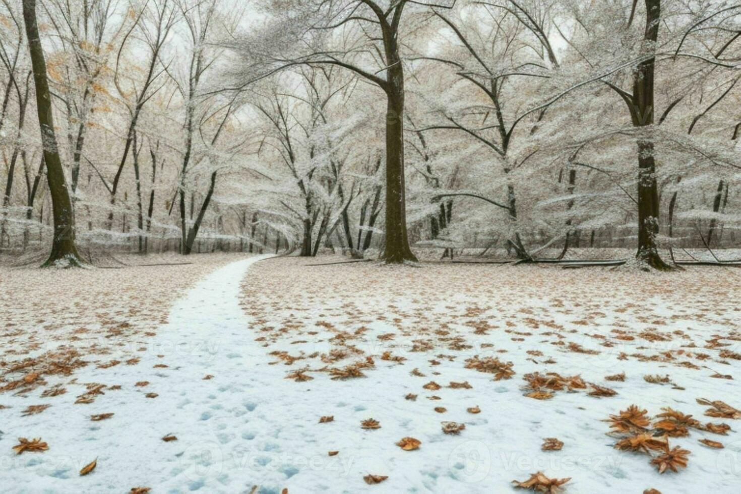 fallen leaves in snowy forest park. background. AI Generative Pro Photo