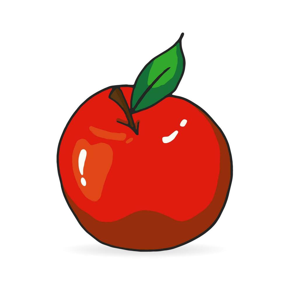 Image of hand drawn apple on white background. vector