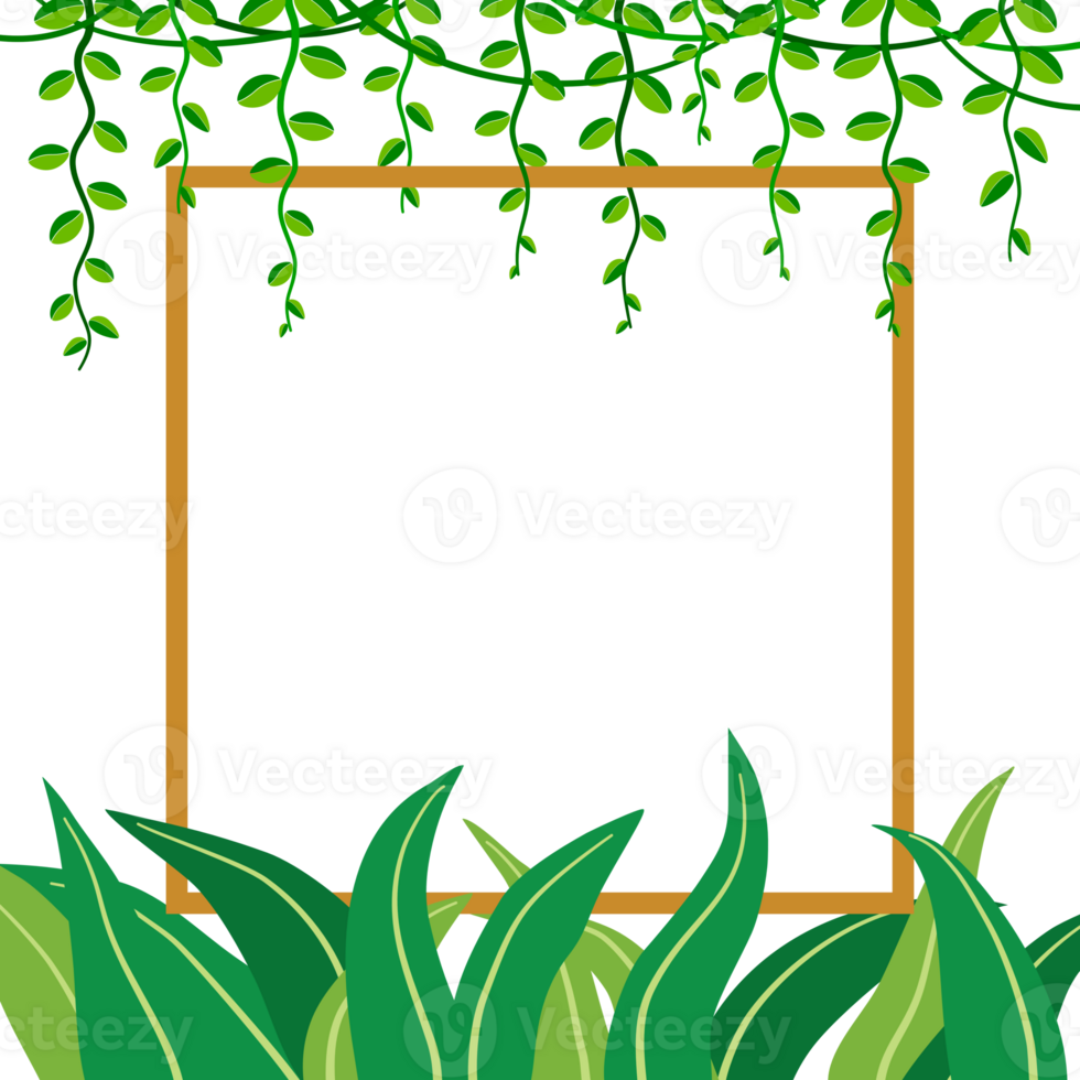 green leaves plant and vines with square frame border copy space for text, illustration. fronds square frame, border. flat design, tropical plant transparent background, element, jungle flora png