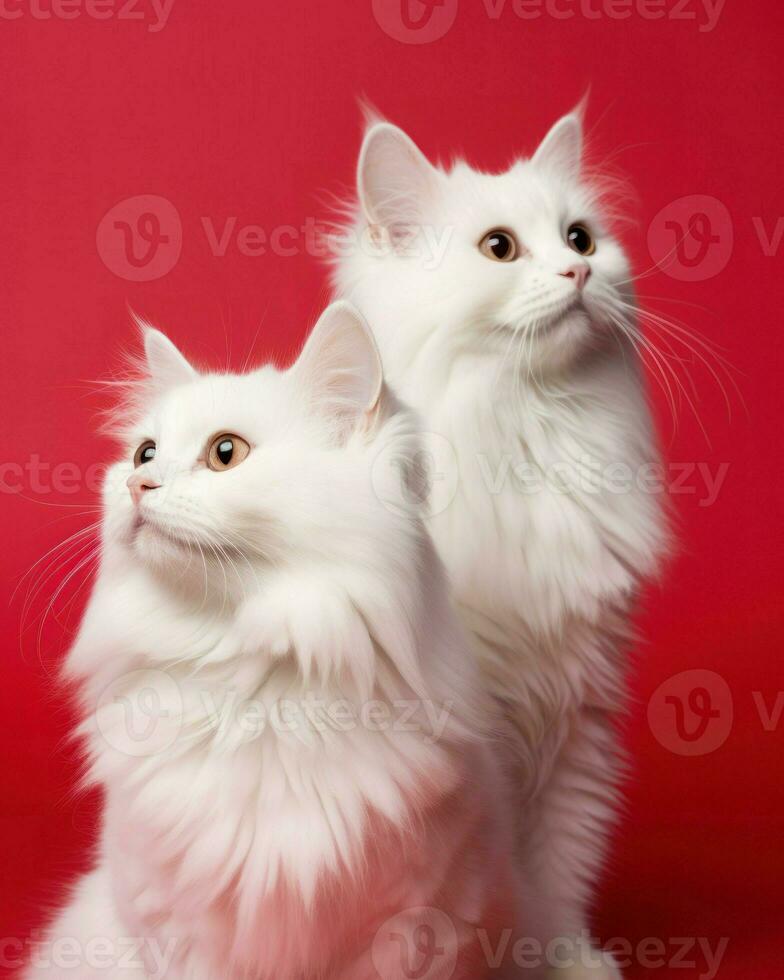 Two cute cats in front of red background. Generative AI photo