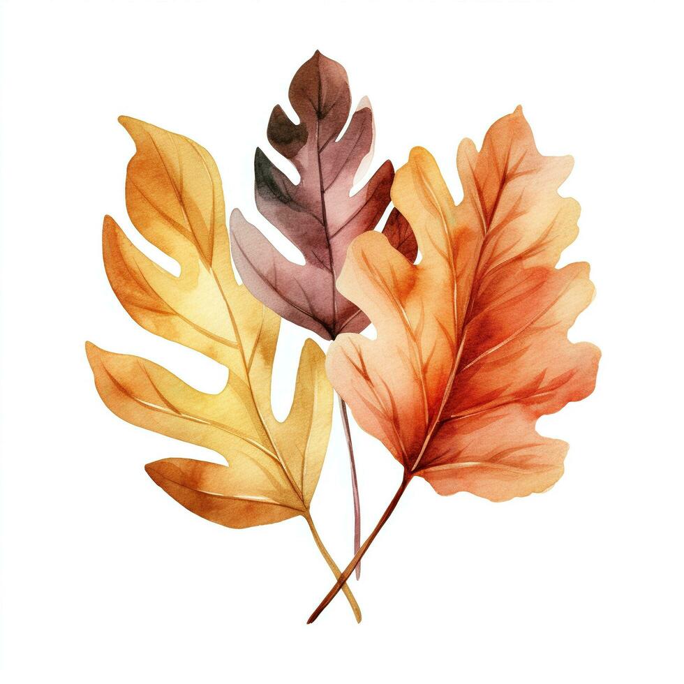 Watercolor illustration of a fall oak leaf. Isolated clipart on white background photo