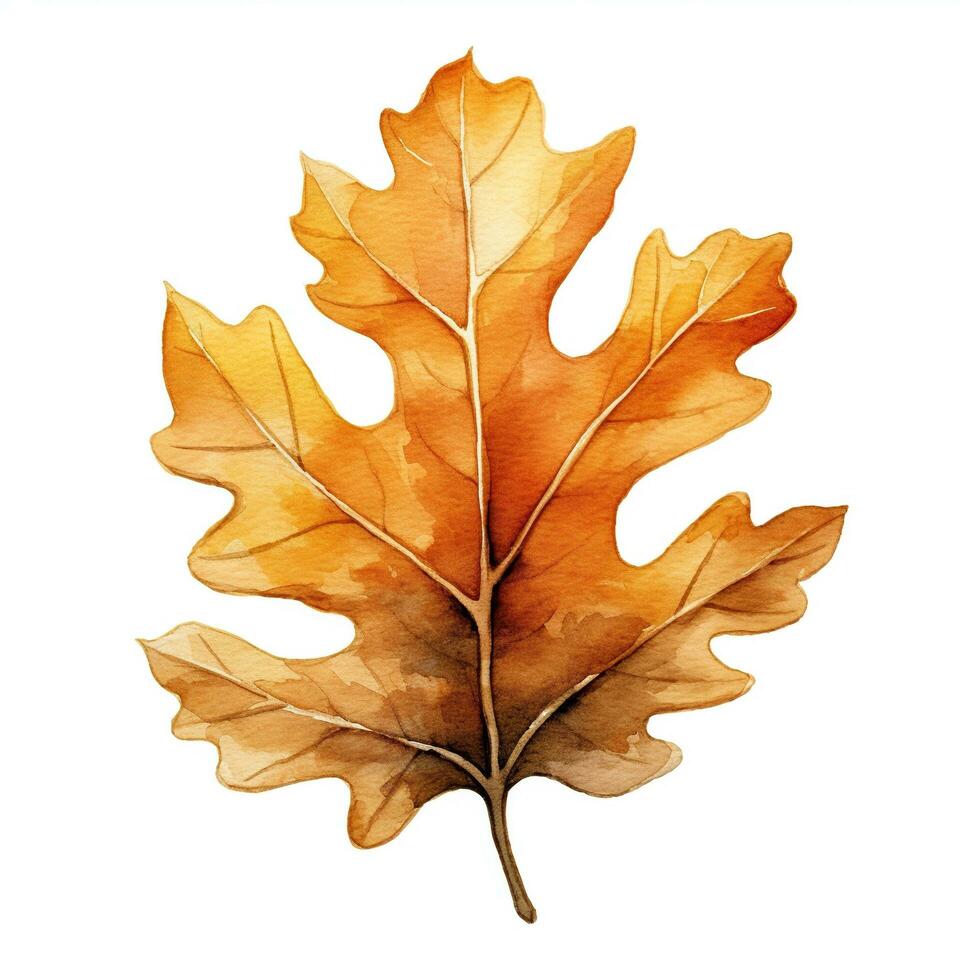 acuarela ilustración de un otoño roble hoja. aislado clipart en blanco antecedentes foto