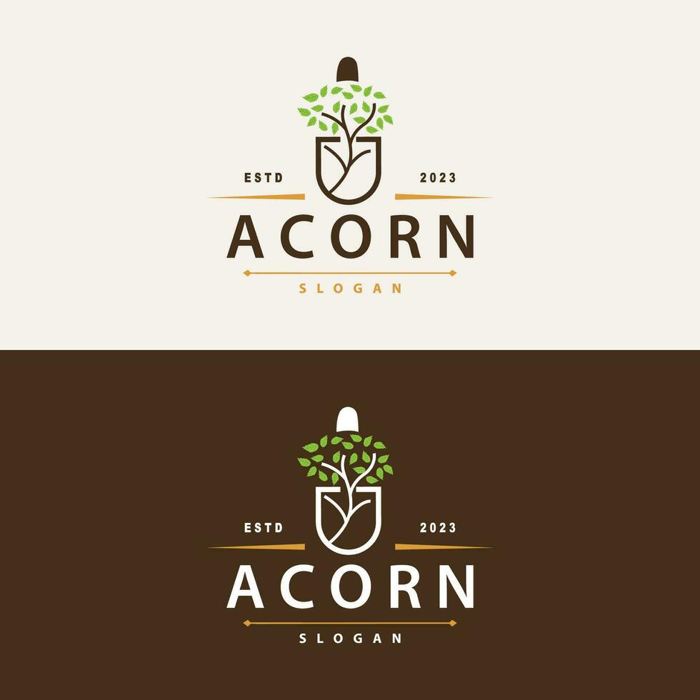 Acorn Logo, Nut Design With Oak Leaves Simple, Templet Illustration Vector