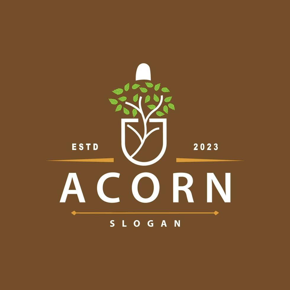 Acorn Logo, Nut Design With Oak Leaves Simple, Templet Illustration Vector