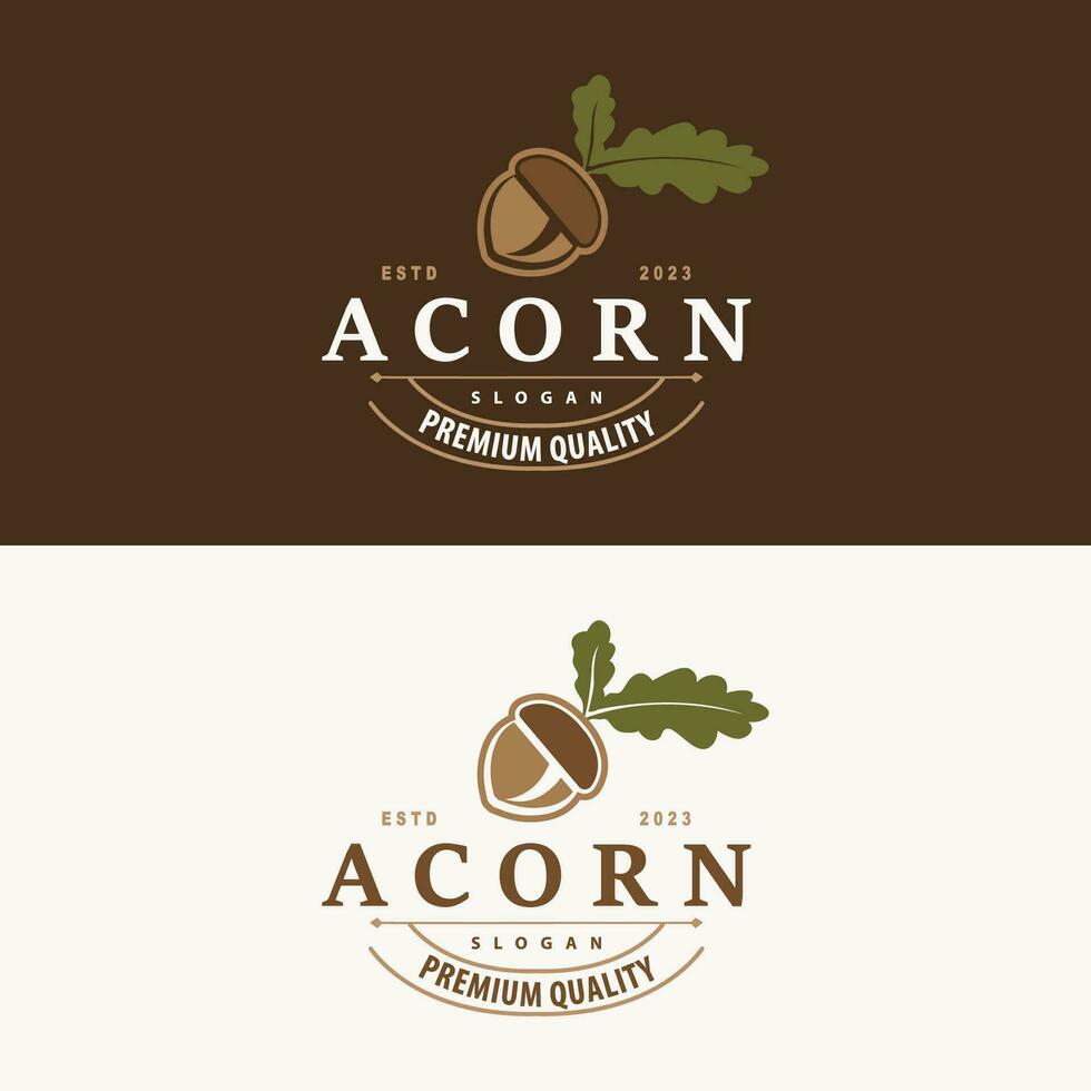 Acorn Logo, Nut Design With Oak Leaves Simple, Templet Illustration Vector