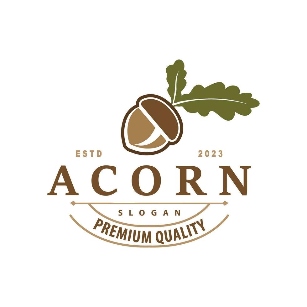 Acorn Logo, Nut Design With Oak Leaves Simple, Templet Illustration Vector