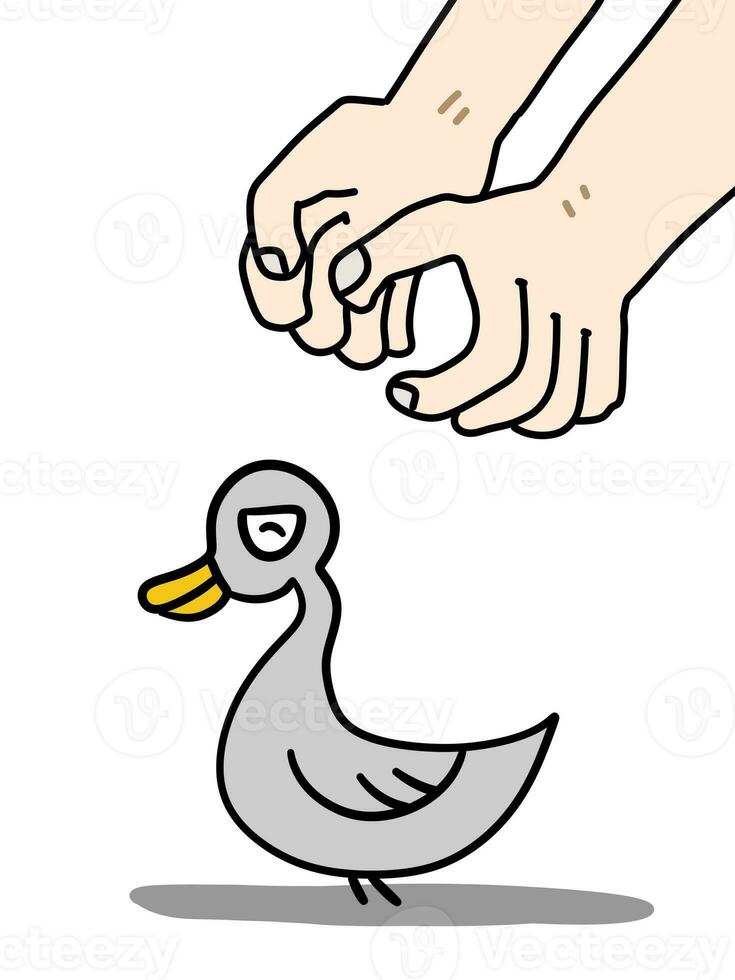 cartoon duck and hand on a white background photo