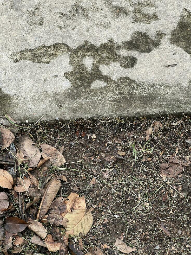 dirty asphalt with gray water and fallen leaves. photo