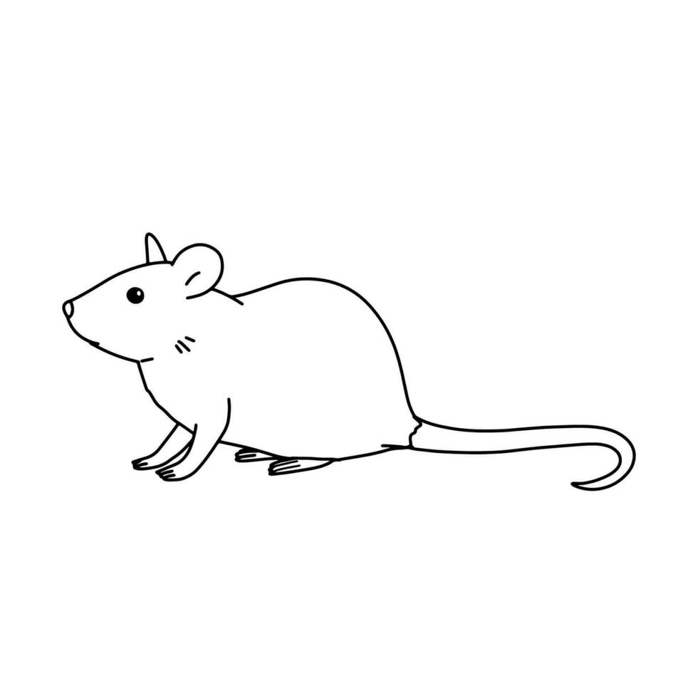 Sketch of realistic laboratory mouse. Pet in outline style. Vector