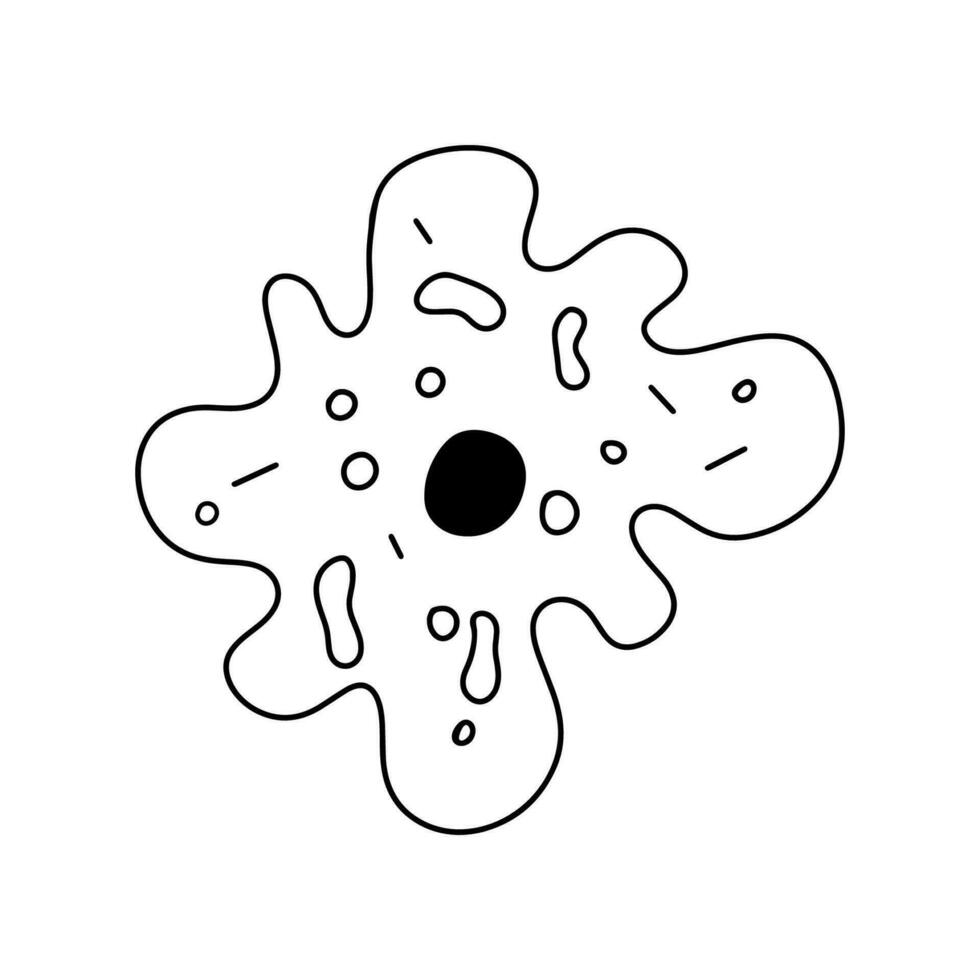 Amoeba line doodle abstract sketch. Biological organism symbol vector