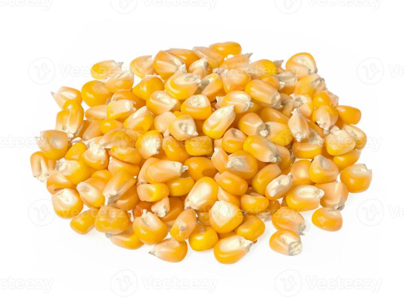 Heap of corn kernels isolated on white background photo