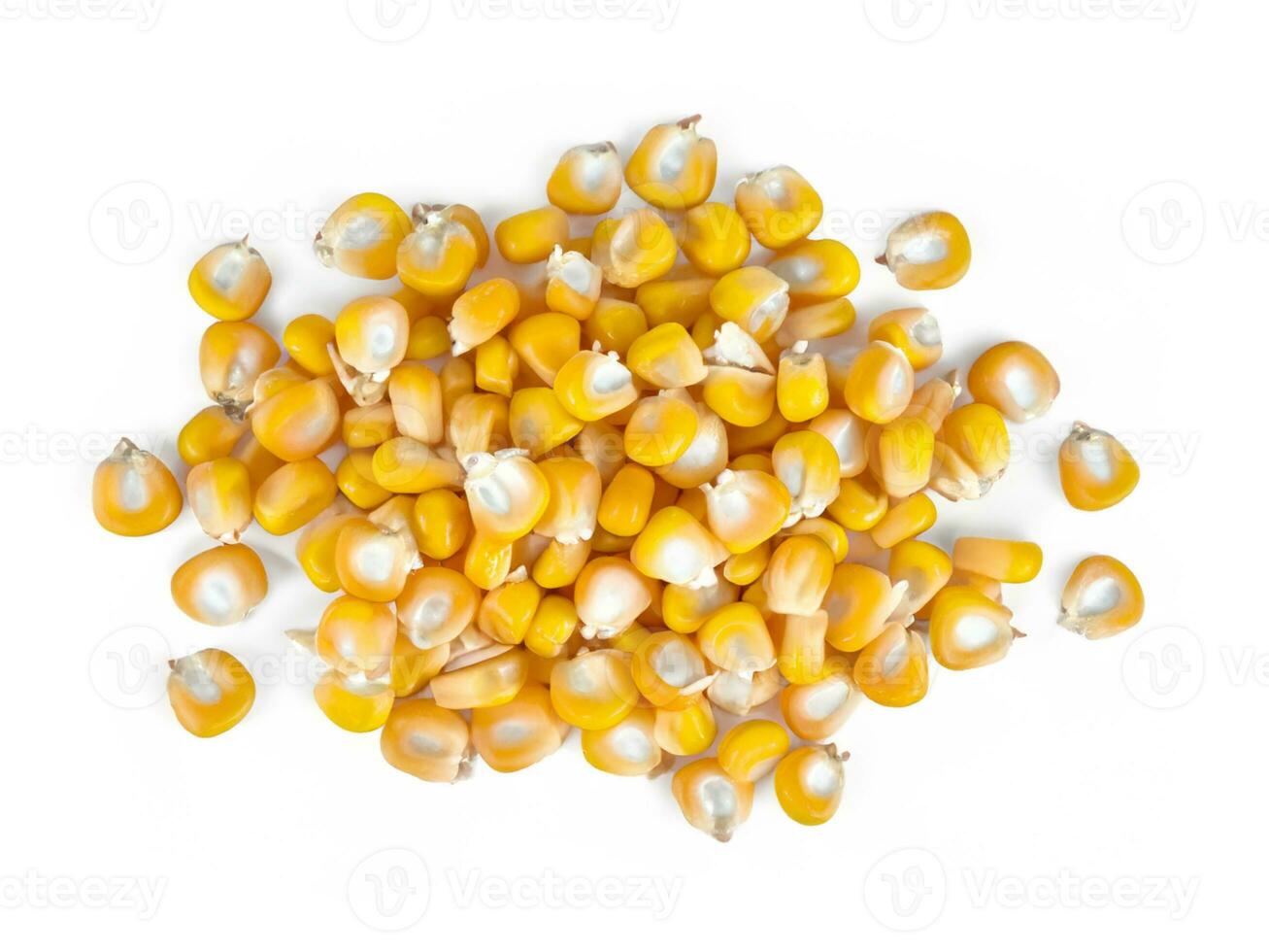 Heap of corn kernels isolated on white background photo