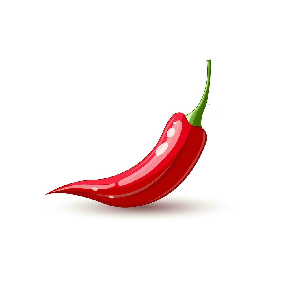 Illustration of red chili isolated on white background vector