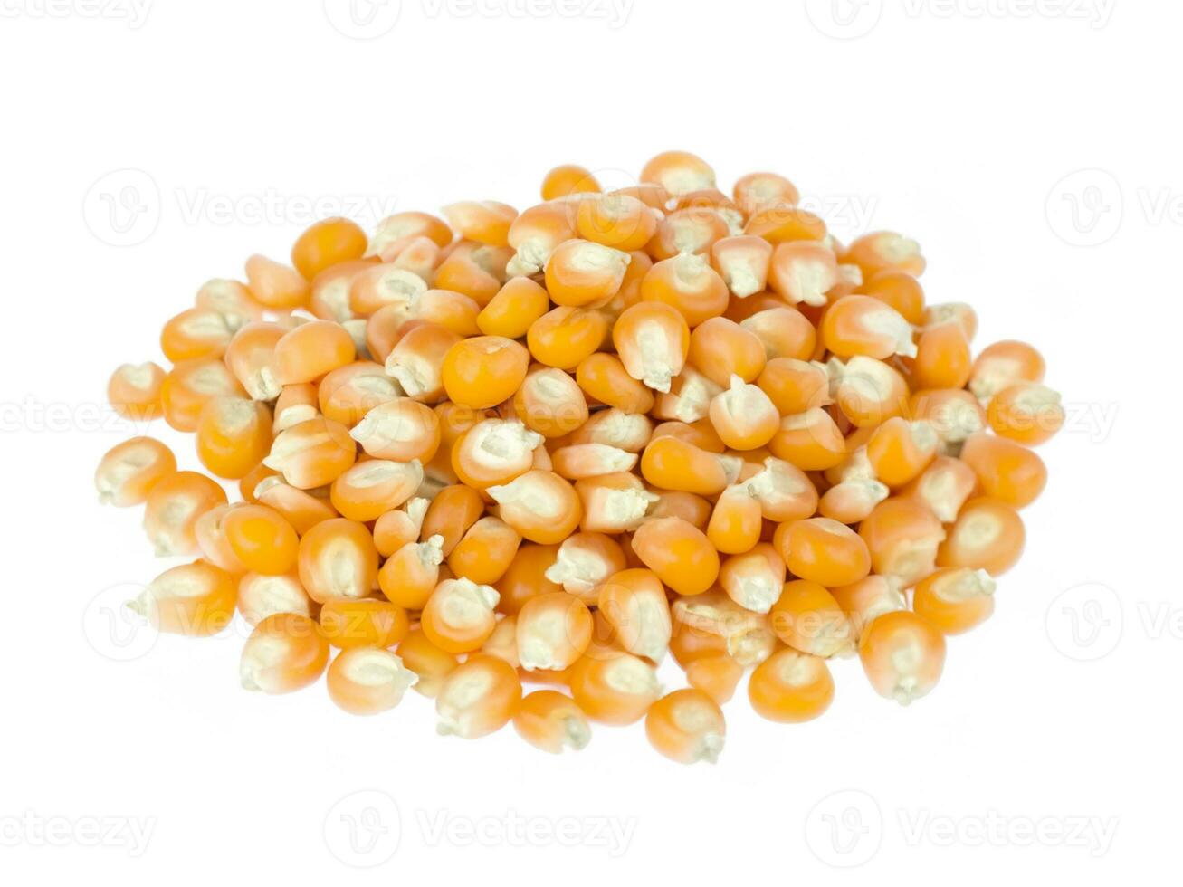 montón de maíz granos aislado en blanco antecedentes foto