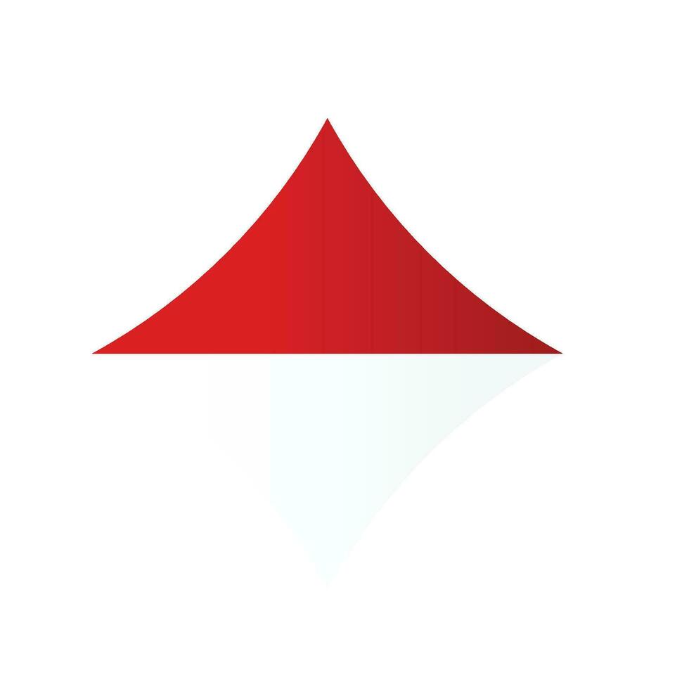 Geometry Indonesia Flag vector