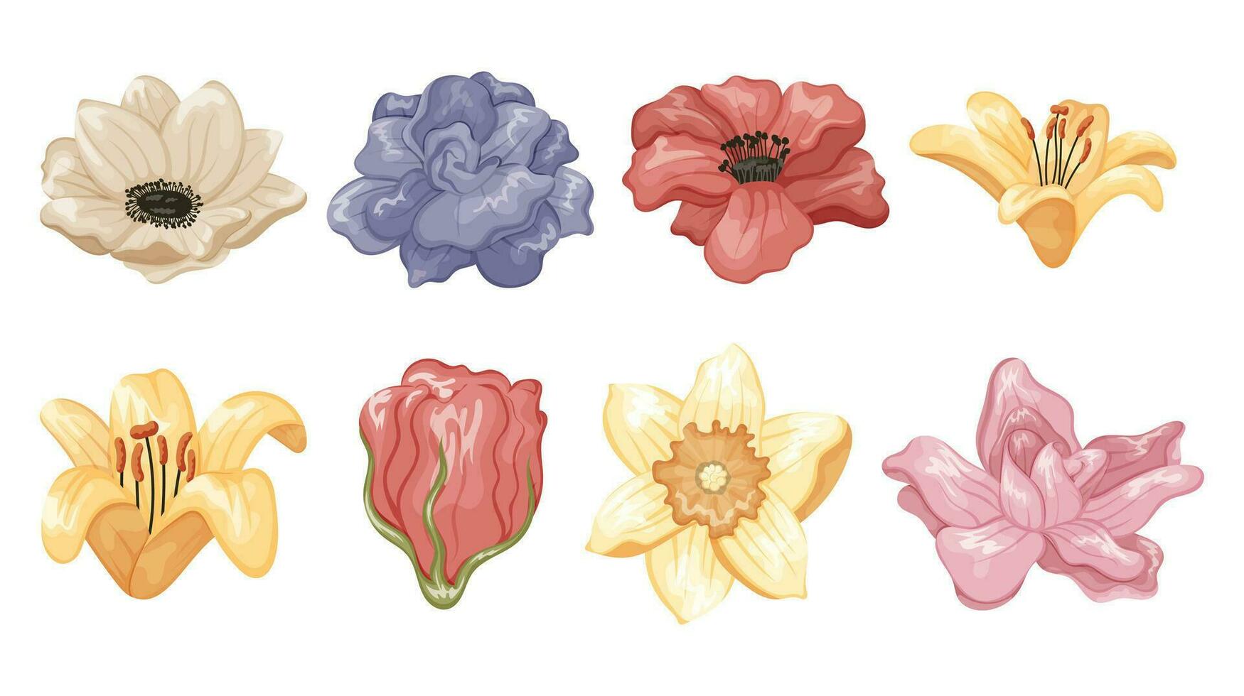 Bright beautiful blooming buds with petals. Set of vector isolated cartoon flowers rose, anemone, lily, narcissus.