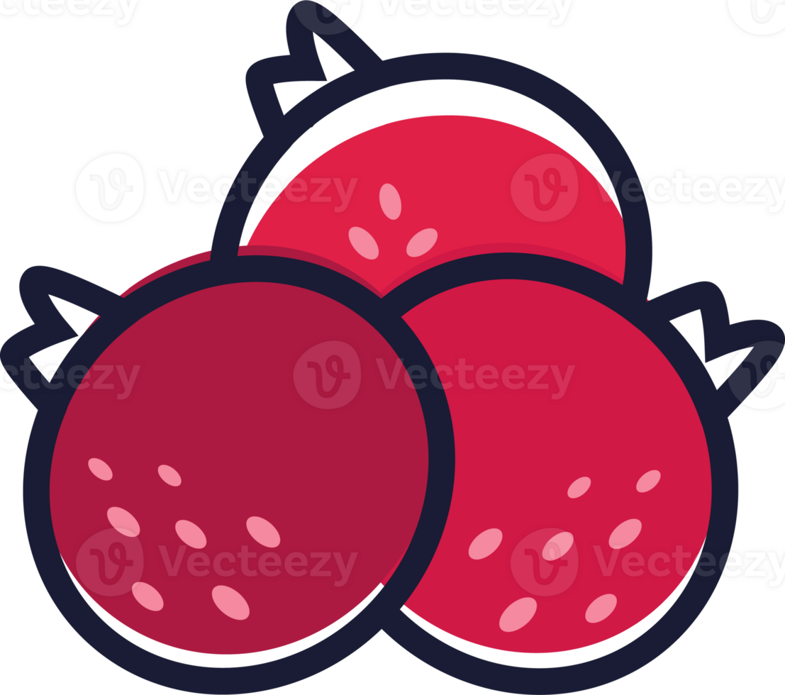 Currant berry color icon. line style sign. For mobile concept and web design, poster, app, package. PNG, transparency.. png