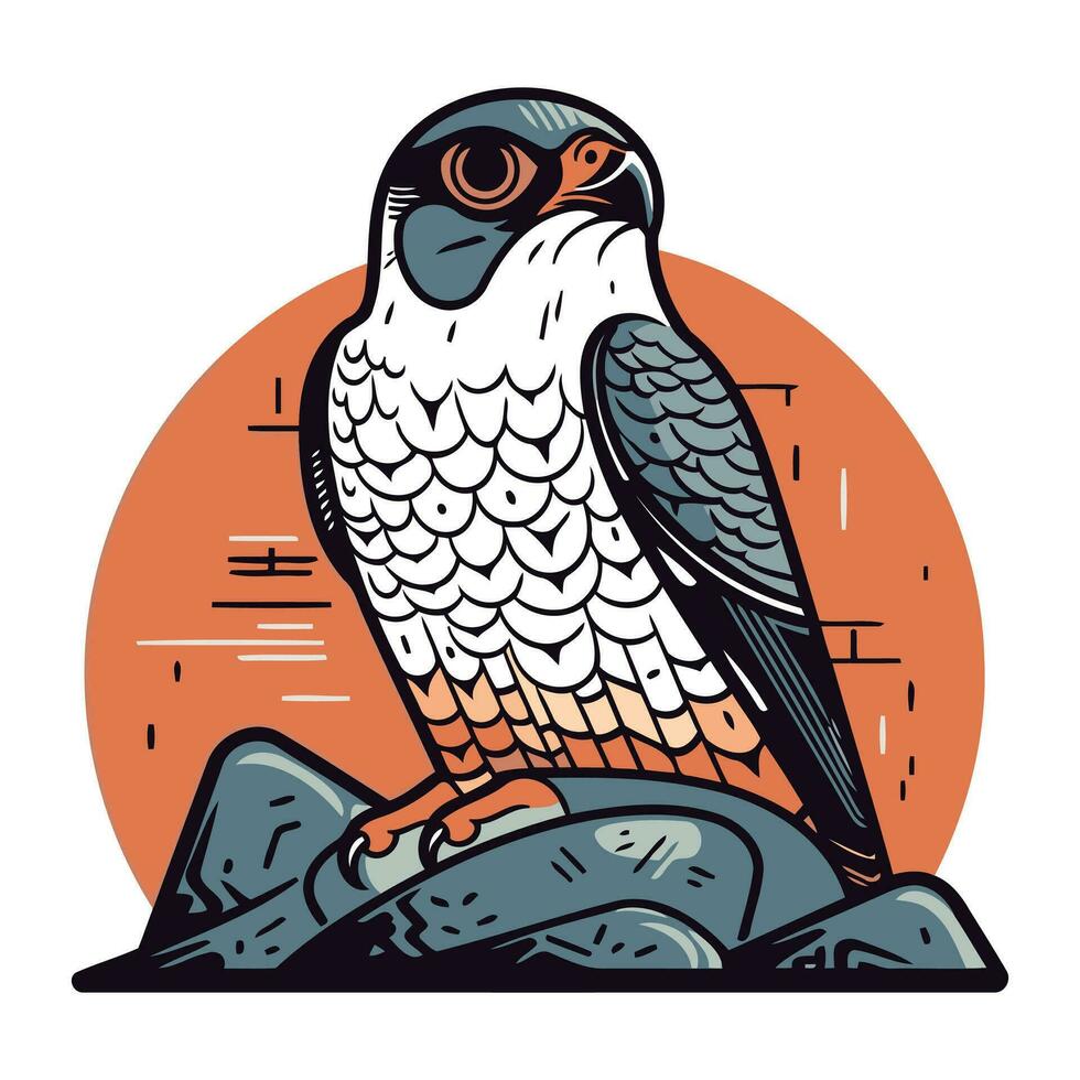 Vector illustration of a falcon sitting on a rock and looking up